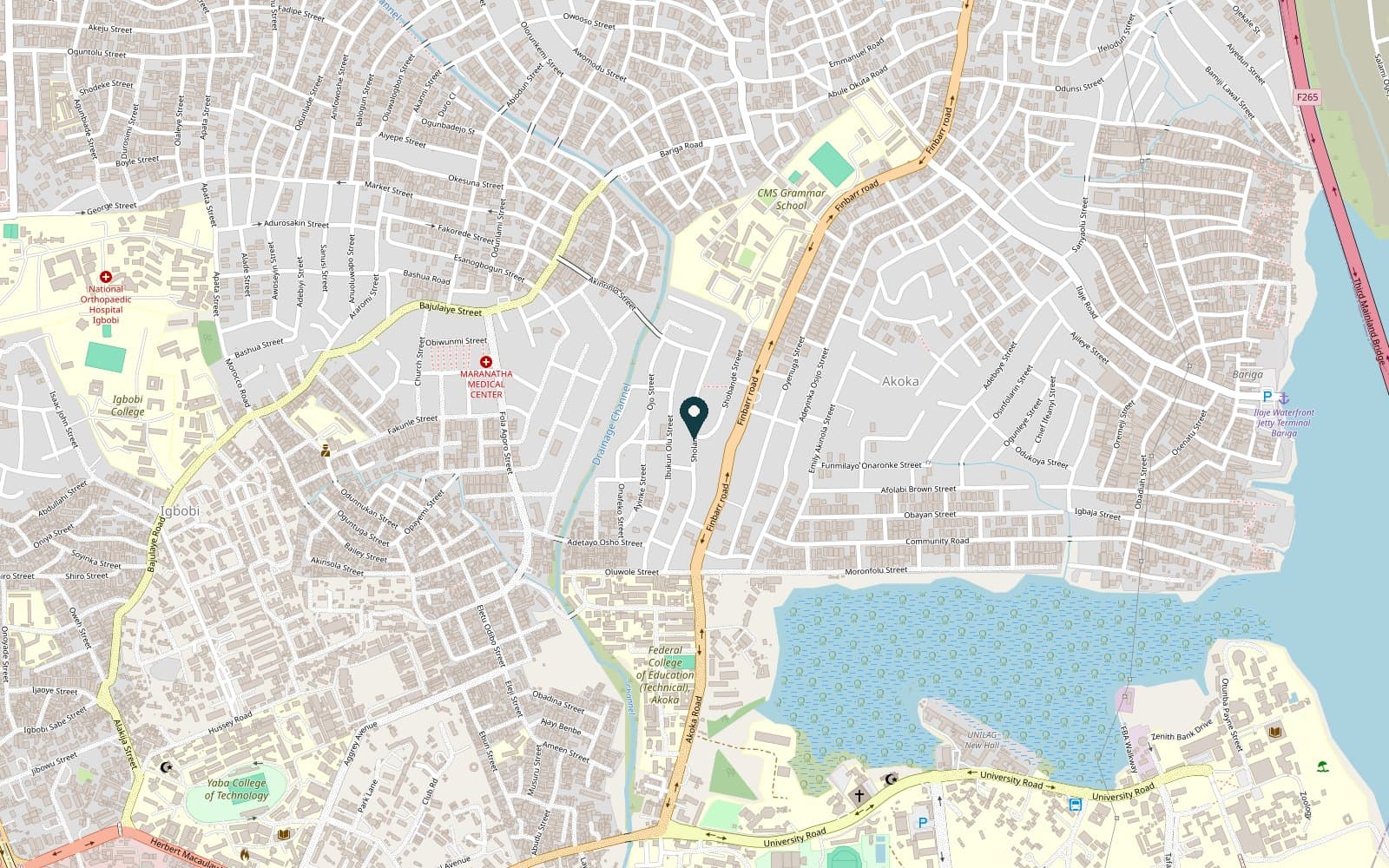 Map of Akoka-Yaba, Lagos, with a marker on Sholanke Street near The Peak Mark Clinic.